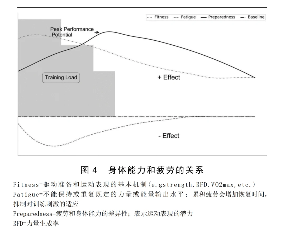 青少年篮球体能训练重点内容为_1